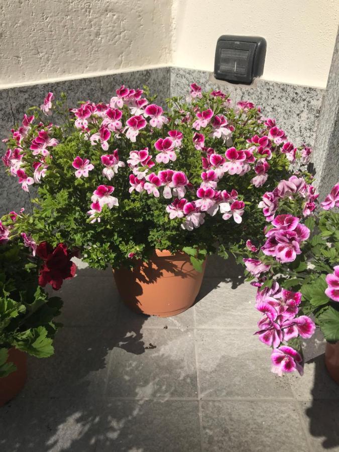 Dely B&B Arquata Scrivia Εξωτερικό φωτογραφία